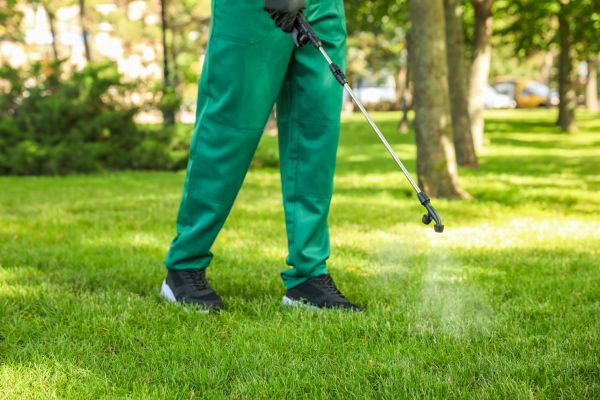 Bellingham Lawn Treatment
