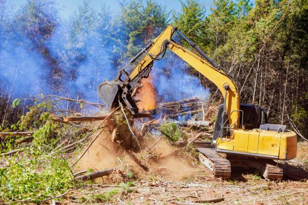 Bellingham Land Clearing