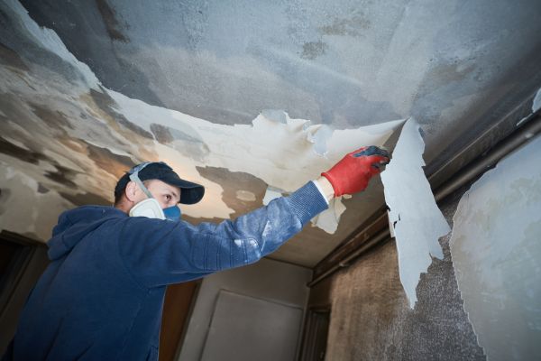Bellingham Fire Restoration
