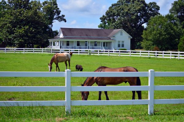 Bellingham Fence Service
